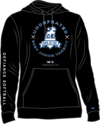 Thumbnail for 2024 JV SOFTBALL UNDEFEATED HOODIE